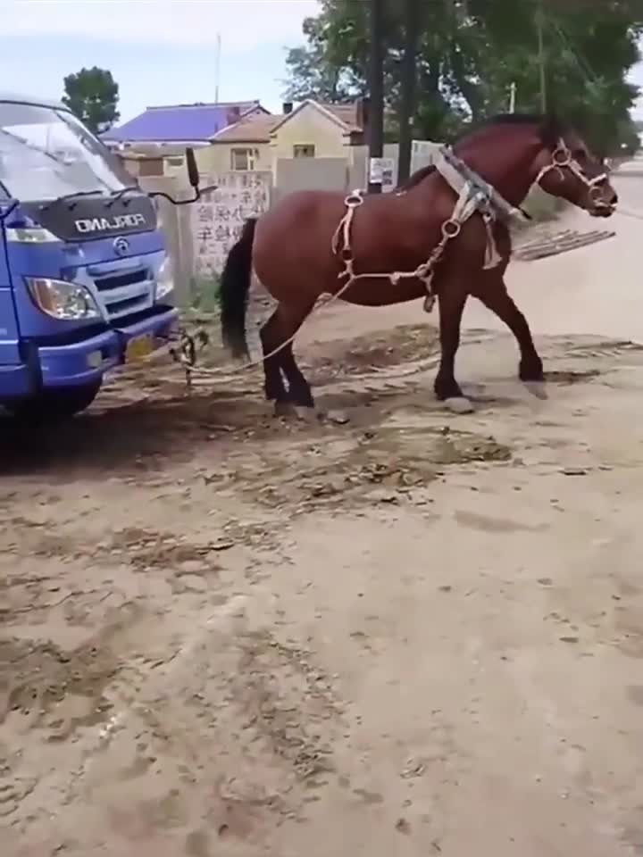 秘密研究所神秘入口