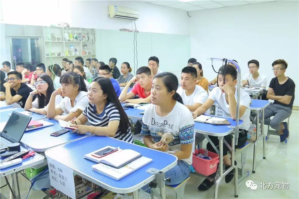 久久精品国产欧美日韩亚洲欧美日韩中文久久国产一区 推出了“全球影视专区”