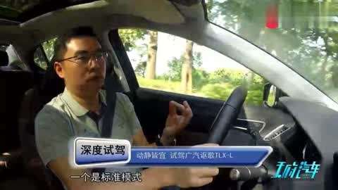 小马拉大车男孩