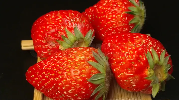 吃瓜大本营视频在线观看免费