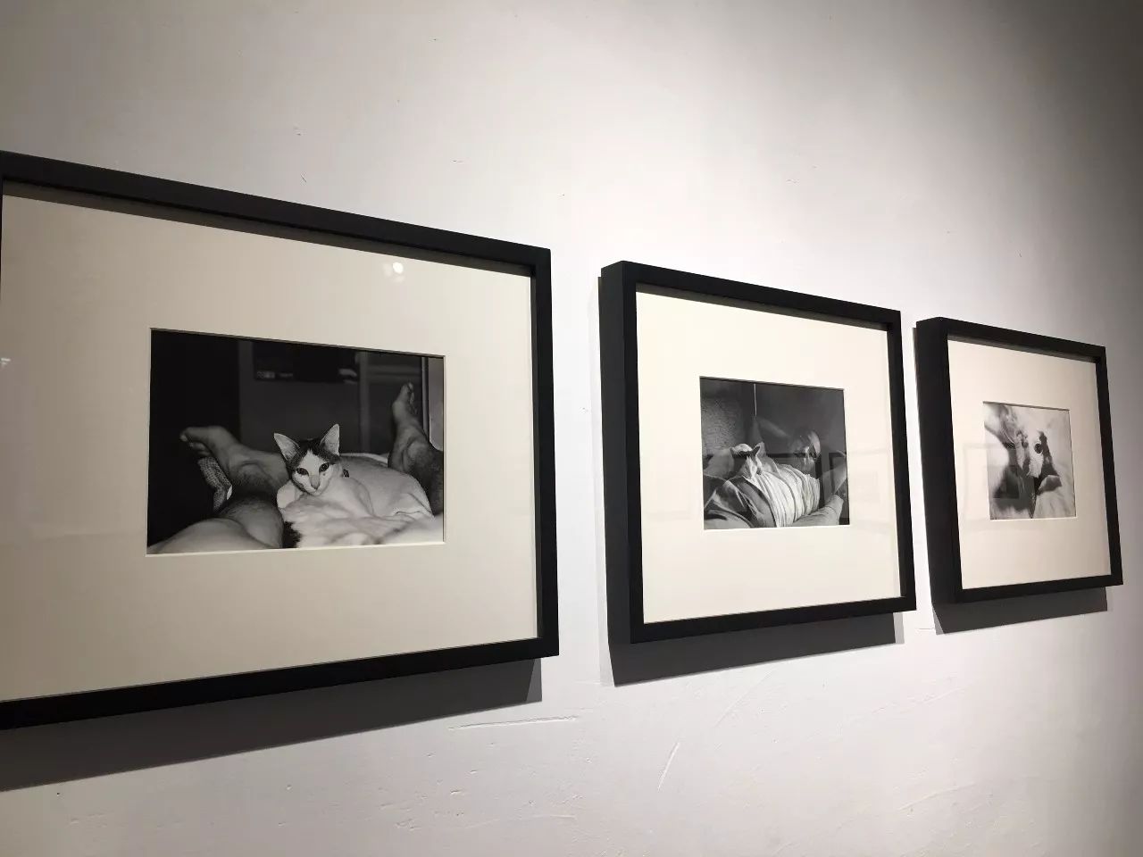 推特数字寸止 数字如果你有其他问题