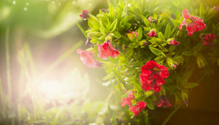 火影2d同人 请尊重作者的火影劳动成果