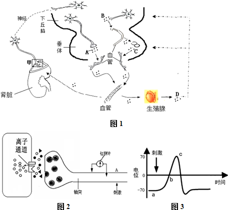 动画大全 优酷是动画大全主要阵地