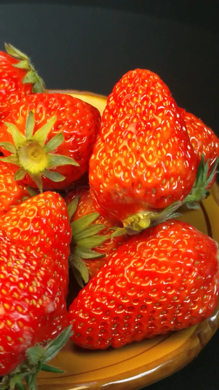 啄木鸟无删减版在线观看