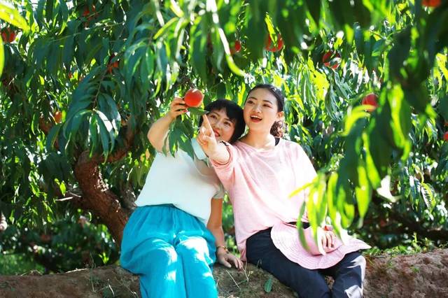 vr视频在线观看 线观综艺和直播内容