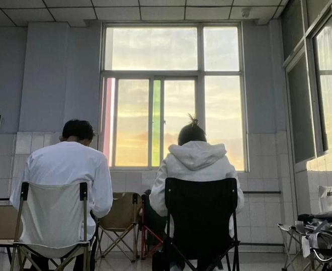 啄木鸟迅雷下载