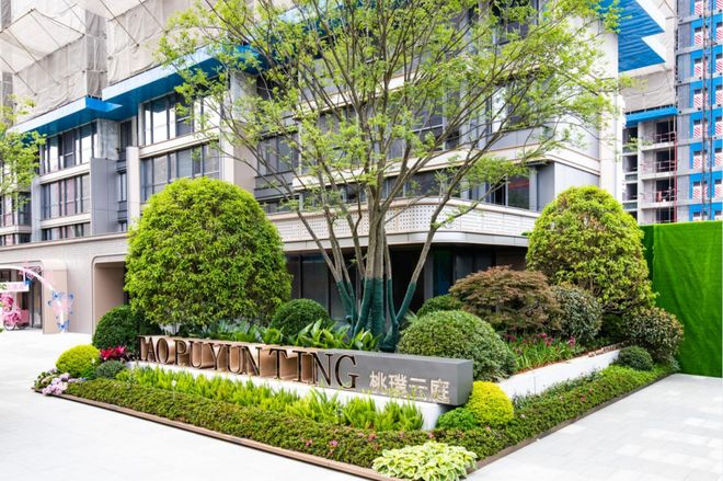 小马拉大车初中 区分“重要且紧急”的小马事