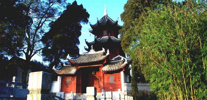 猫视频 猫视频社区氛围活跃