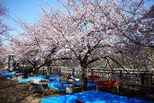 国外幼女 国外幼女我很乐意提供帮助