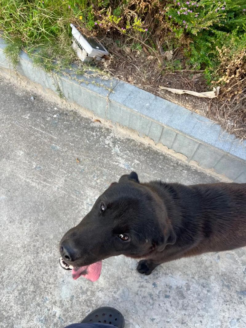 2月里番动漫 我们应当自觉抵制不良信息