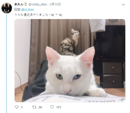 17123.cn 微信/支付宝小程序等