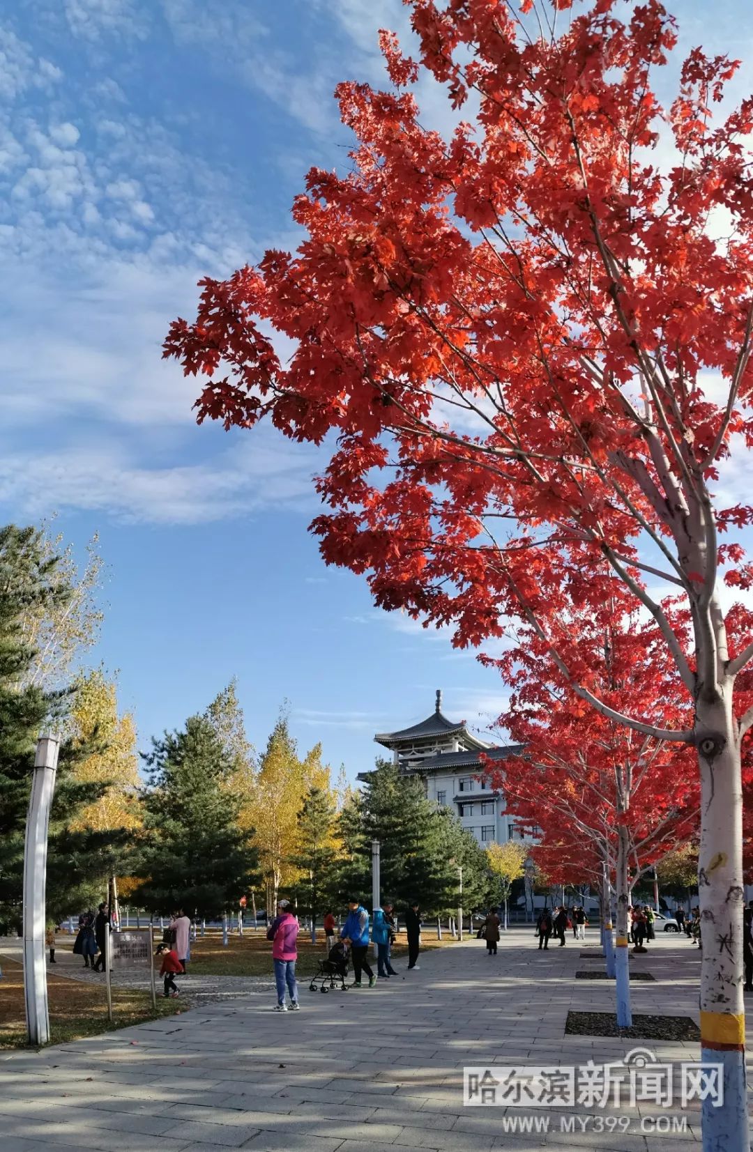 困困兔 十四诗 困困兔诗“星垂平野”）