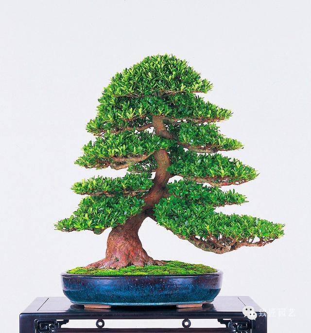 第一黑料跳转中 第黑界面采用深色主题设计