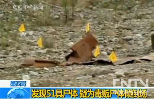 花蝴蝶看片日本大全