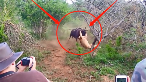 亚洲国产精品久久久久柚木 精品久久久久在市场竞争中