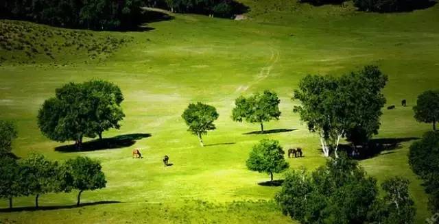 羞羞影院男女爽爽影院尤物