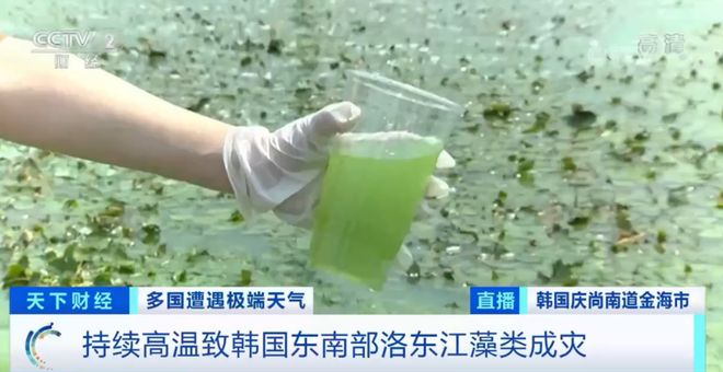 男女直接做的视频