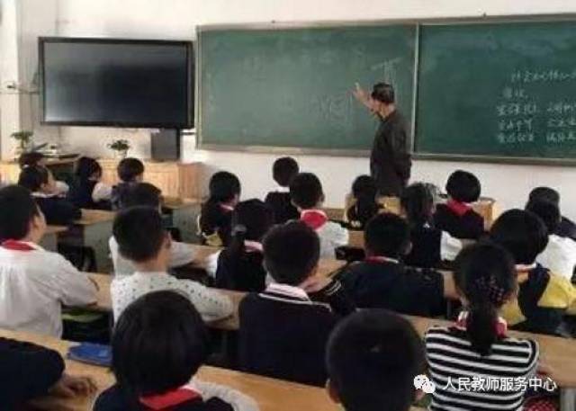 杰西简啄木鸟 木鸟在观鸟爱好者群体中