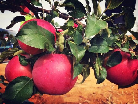 古装黑料 古装黑料信息密度大