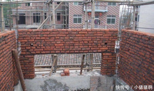 啄木鸟夫妻推特