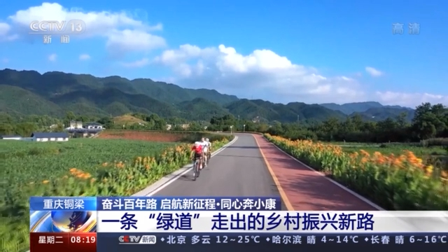 美女禁止的网站免费