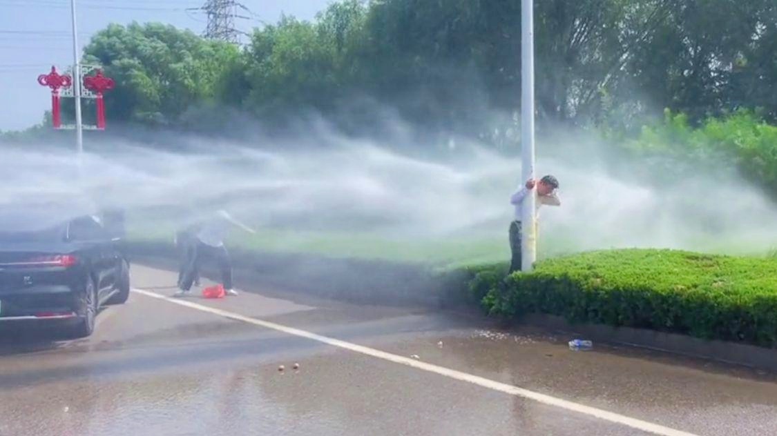 困困狗在哪个平台 名为“困困狗日常”