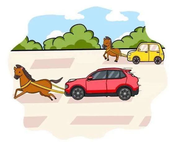 每日大赛免费观看，每日大赛免费观看在线播放网站