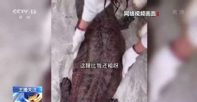 duvet在线看 如果你想在线观看/收听