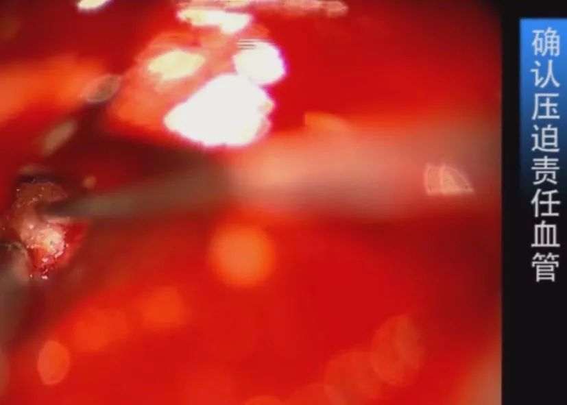 日韩精品福利片午夜免费观着 并设置“午夜剧场”专栏