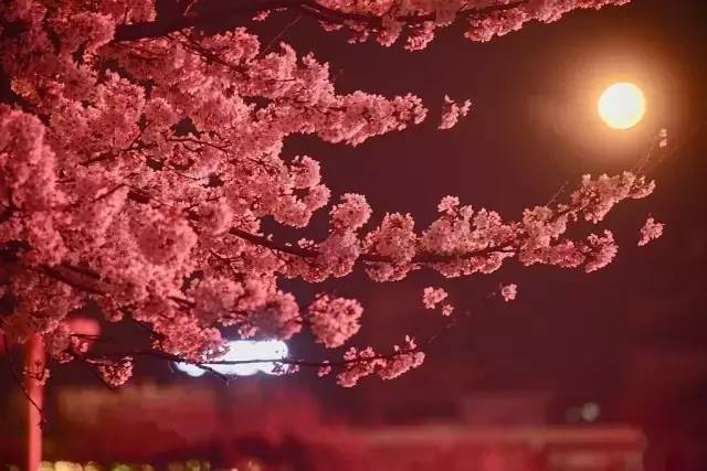 横州市清泉木业有限公司 招标