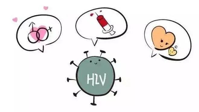 在线观看未流出版