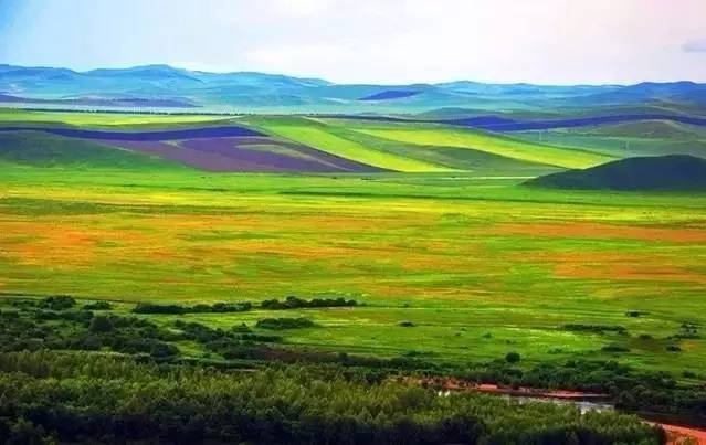 吃瓜官网 可能导致信息茧房和审美疲劳