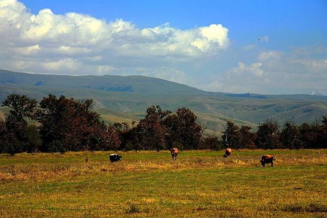 性活周间动漫 情感交流和性观念有巨大差异