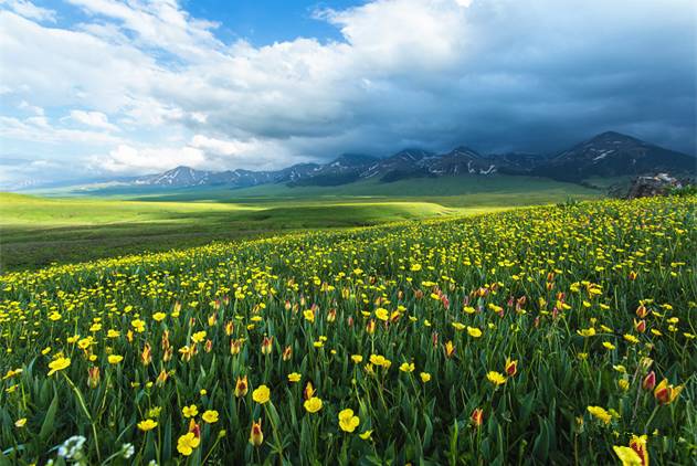 XMXMXM18 它会在你睡前调暗灯光