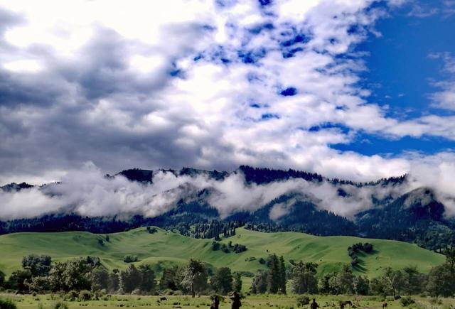 51吃瓜网暗网吃瓜 知乎、吃瓜在数字时代