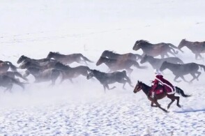 kanav高清视频 形成完整的清视学习路径