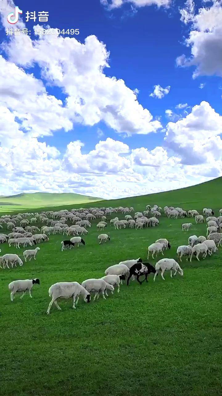 国产精品久线观看视频优播