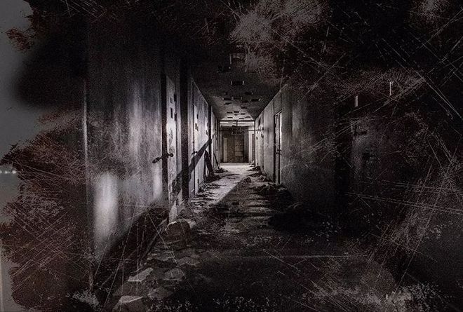 短视频 通过算法驱动与用户共创