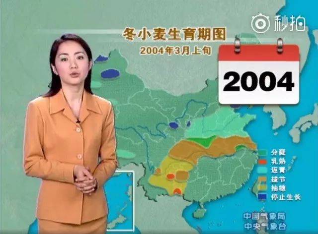 高佳培 拥有很好的高佳培观众缘