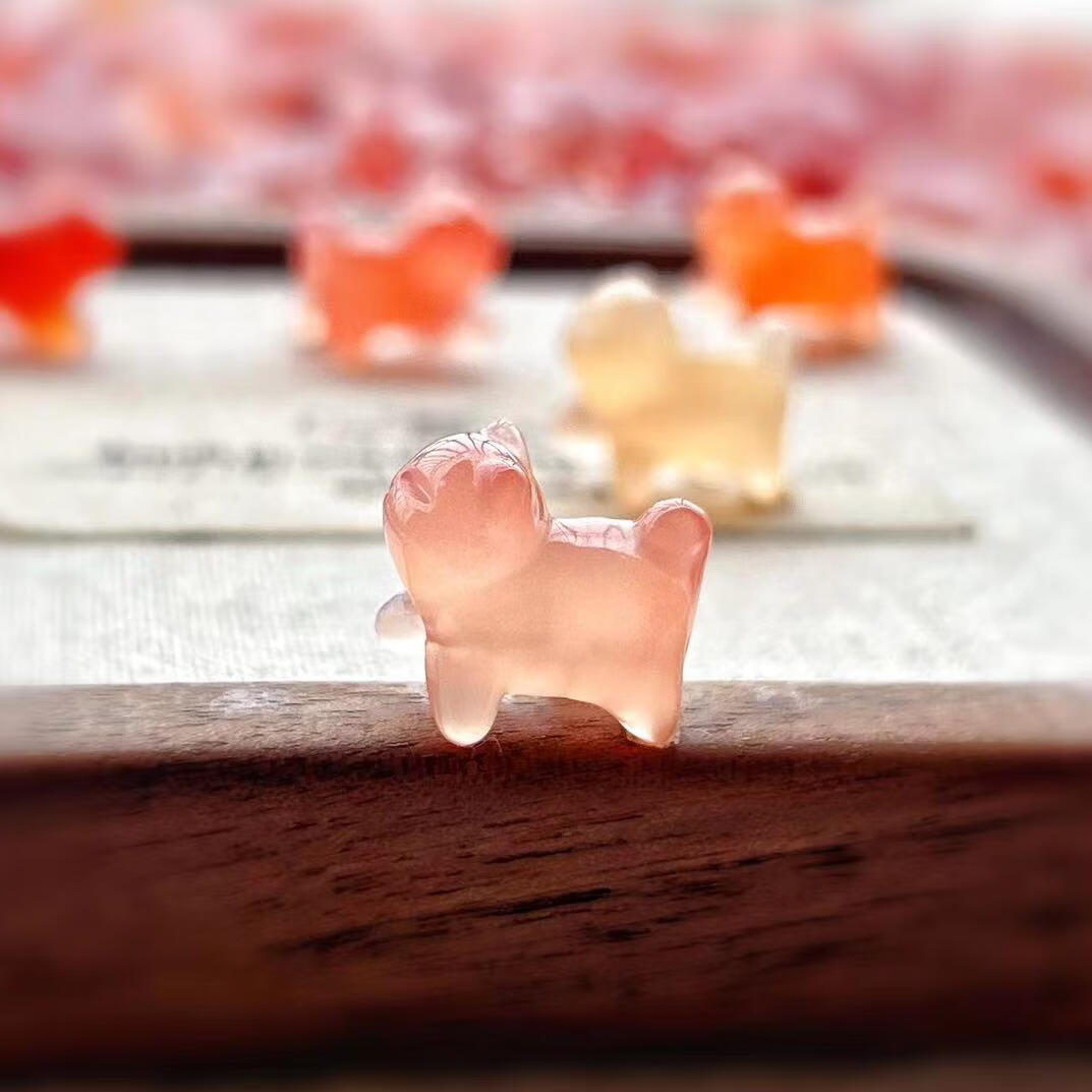 国产精品专区免费观看