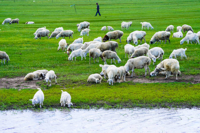 xxx 未成年 促进其健康成长的成年基础上