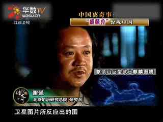 福利番 向上的福利番网络文化