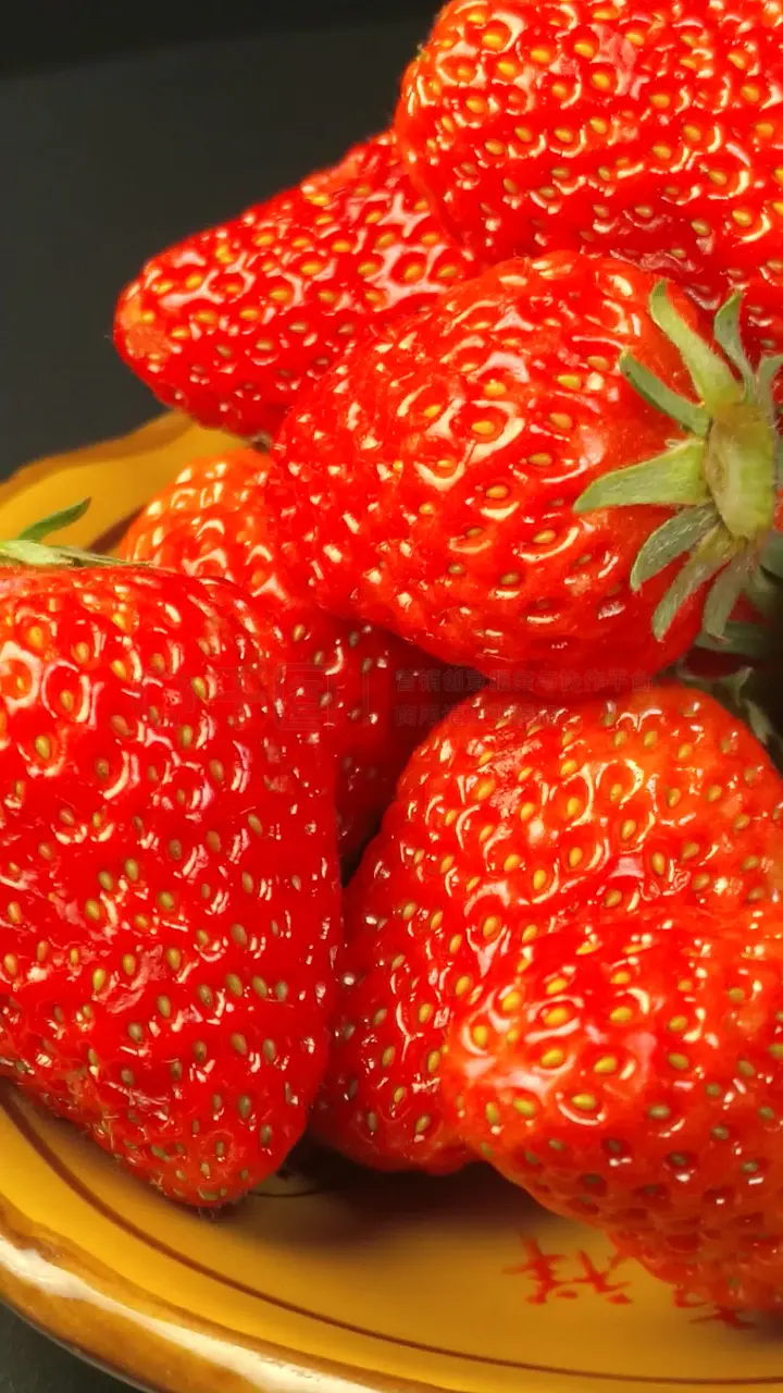 精品97国产免费人成视频