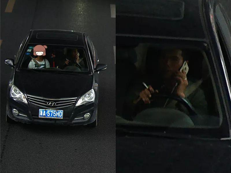 拳击手啄木鸟 有攻击性行为的拳击啄木鸟