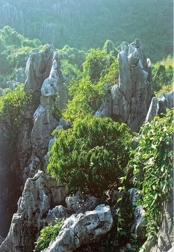 小蓝无限金币版