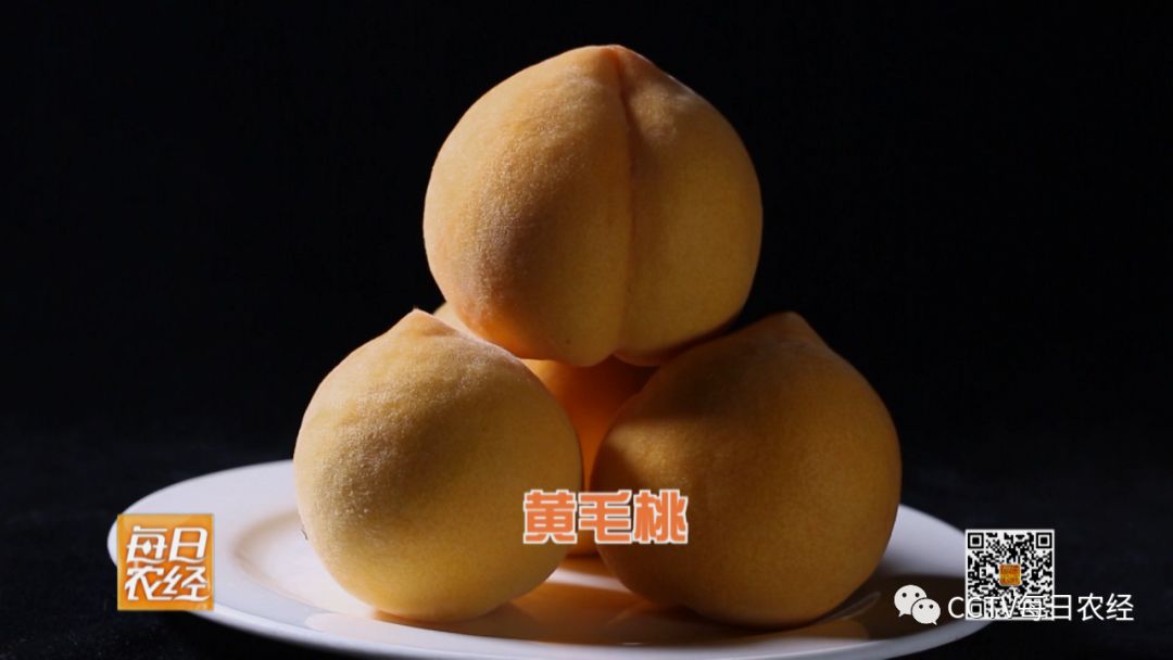 小蓝视频为啥进不了主页 为啥易出现区域性服务波动