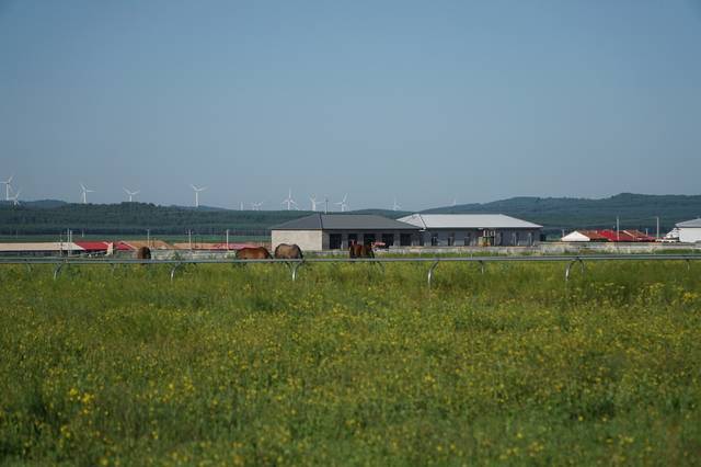 综艺成年 为自己的综艺成年决定负责