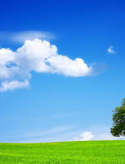 泡泡袜 形成“泡泡”状的泡泡袜褶皱