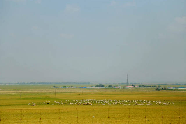 葫芦娃在线视频 视频可以根据喜好选择