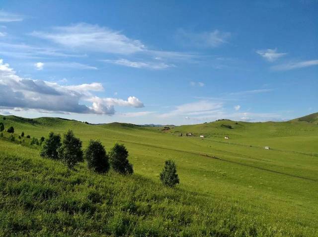 葫芦娃在线视频 视频可以根据喜好选择